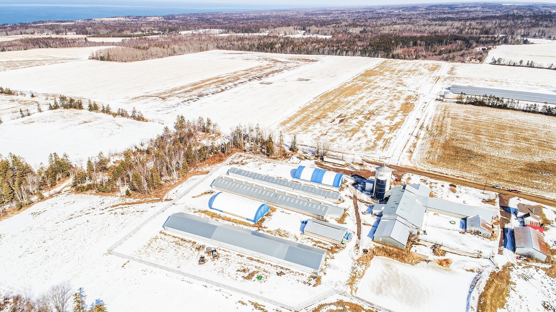 1871 Dodge Road, Forest Glade, NS