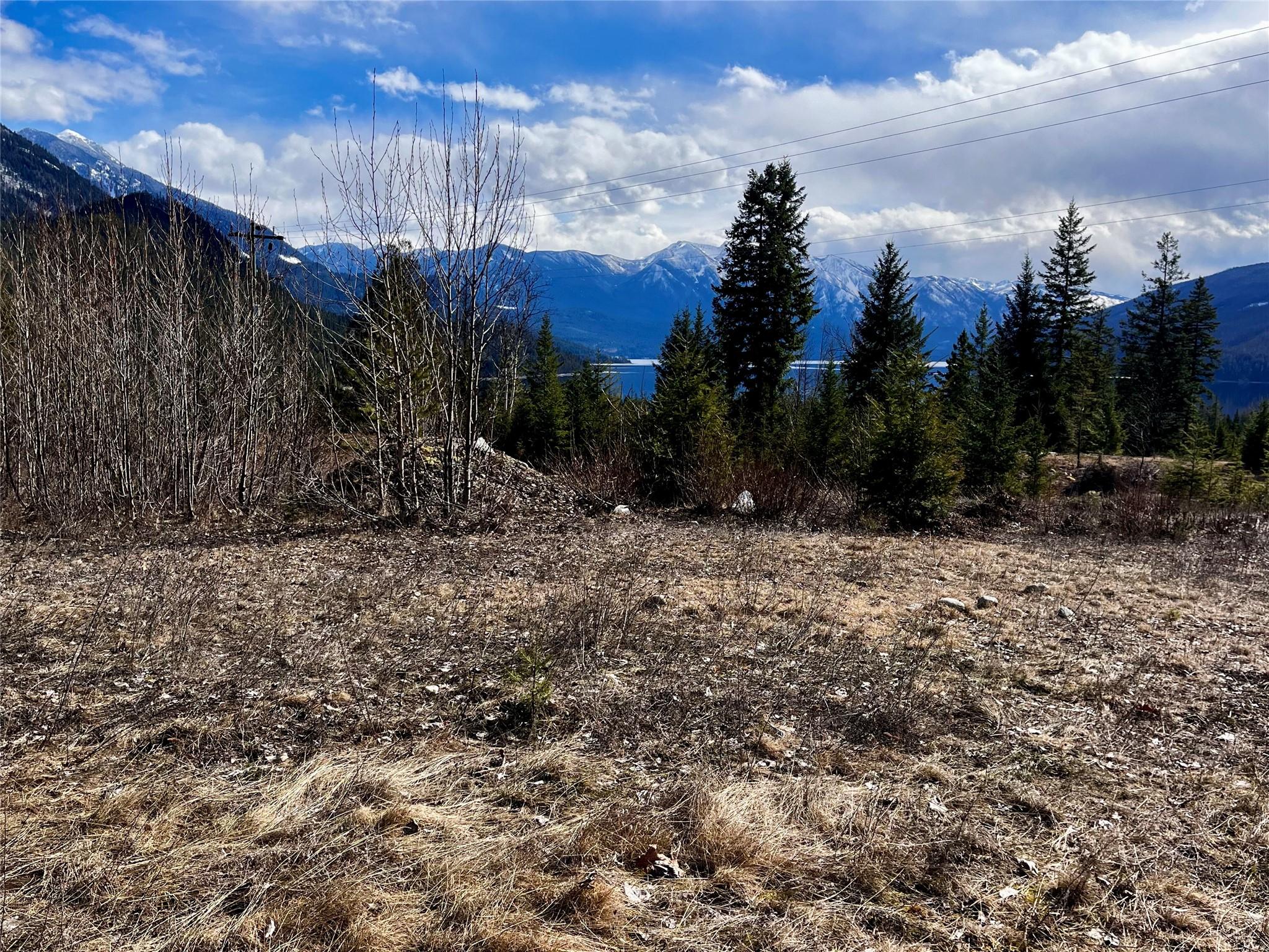 247 Fullmoon Road, Rosebery, BC - Outdoor With View