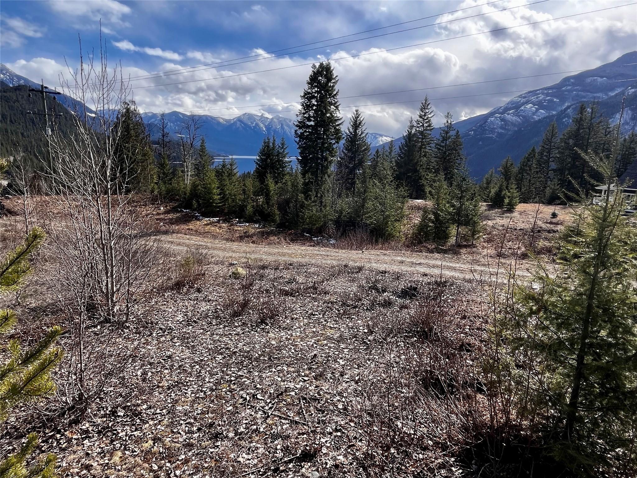 247 Fullmoon Road, Rosebery, BC - Outdoor With View