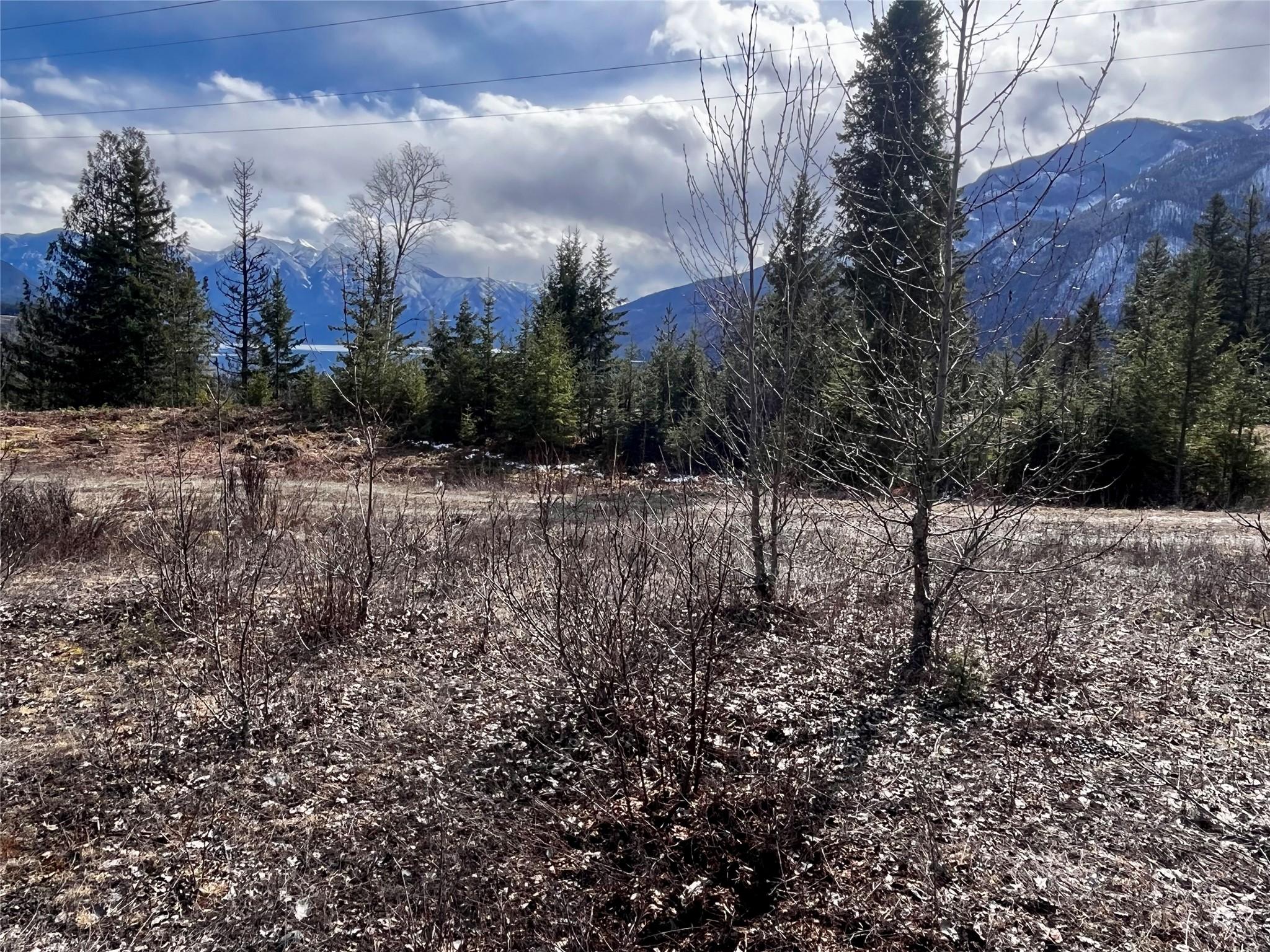 247 Fullmoon Road, Rosebery, BC - Outdoor With View
