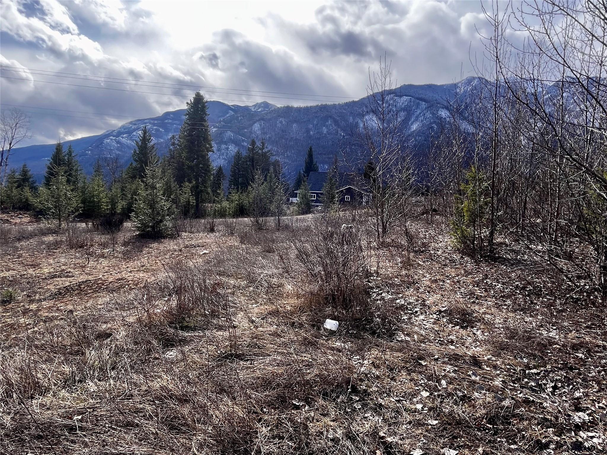 247 Fullmoon Road, Rosebery, BC - Outdoor With View