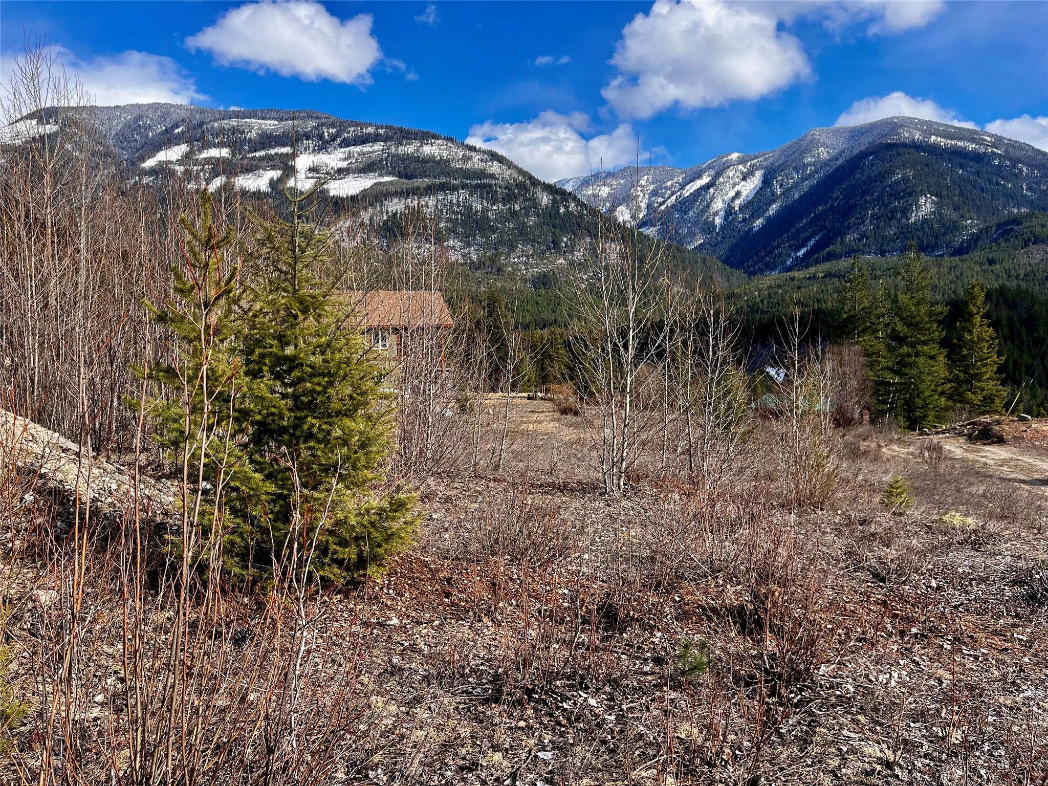 247 Fullmoon Road, Rosebery, BC - Outdoor With View