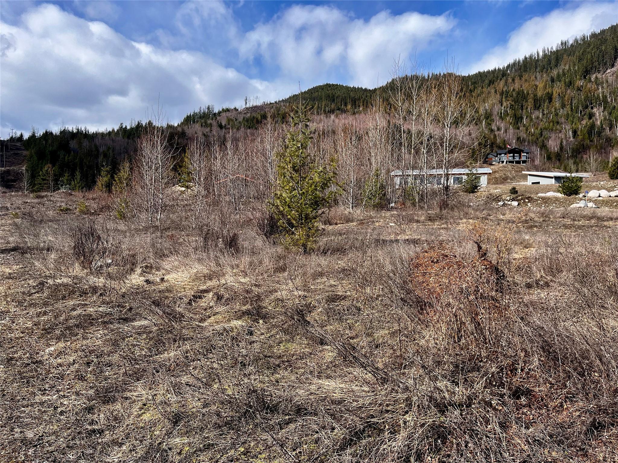 247 Fullmoon Road, Rosebery, BC - Outdoor With View