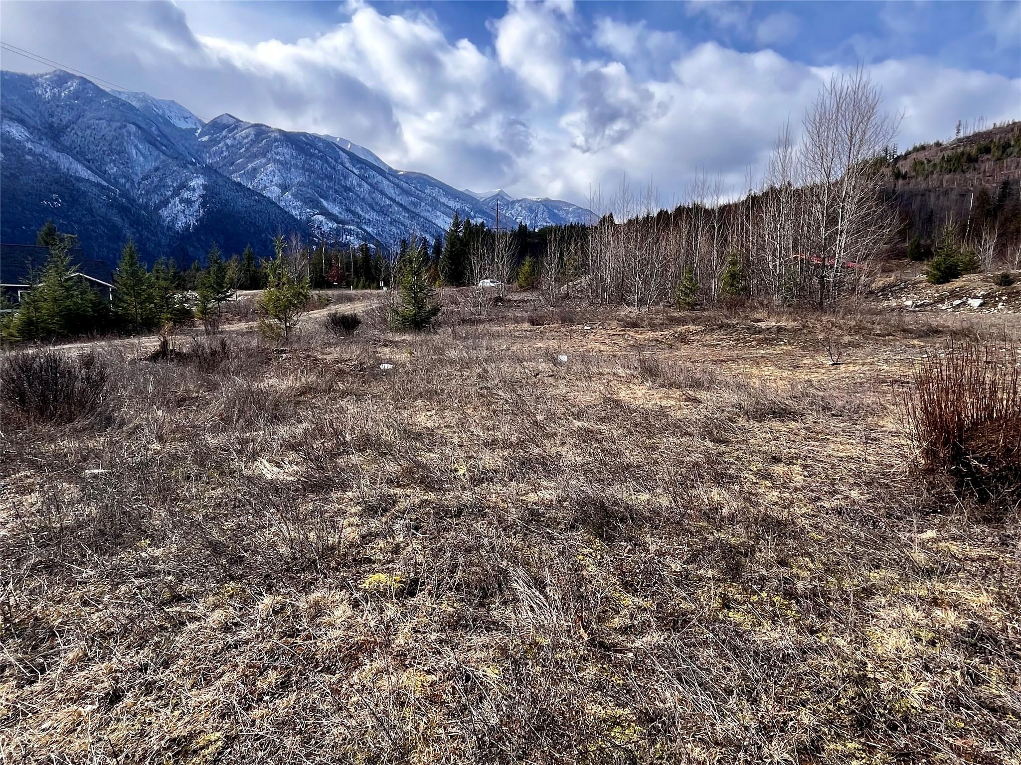 247 Fullmoon Road, Rosebery, BC - Outdoor With View