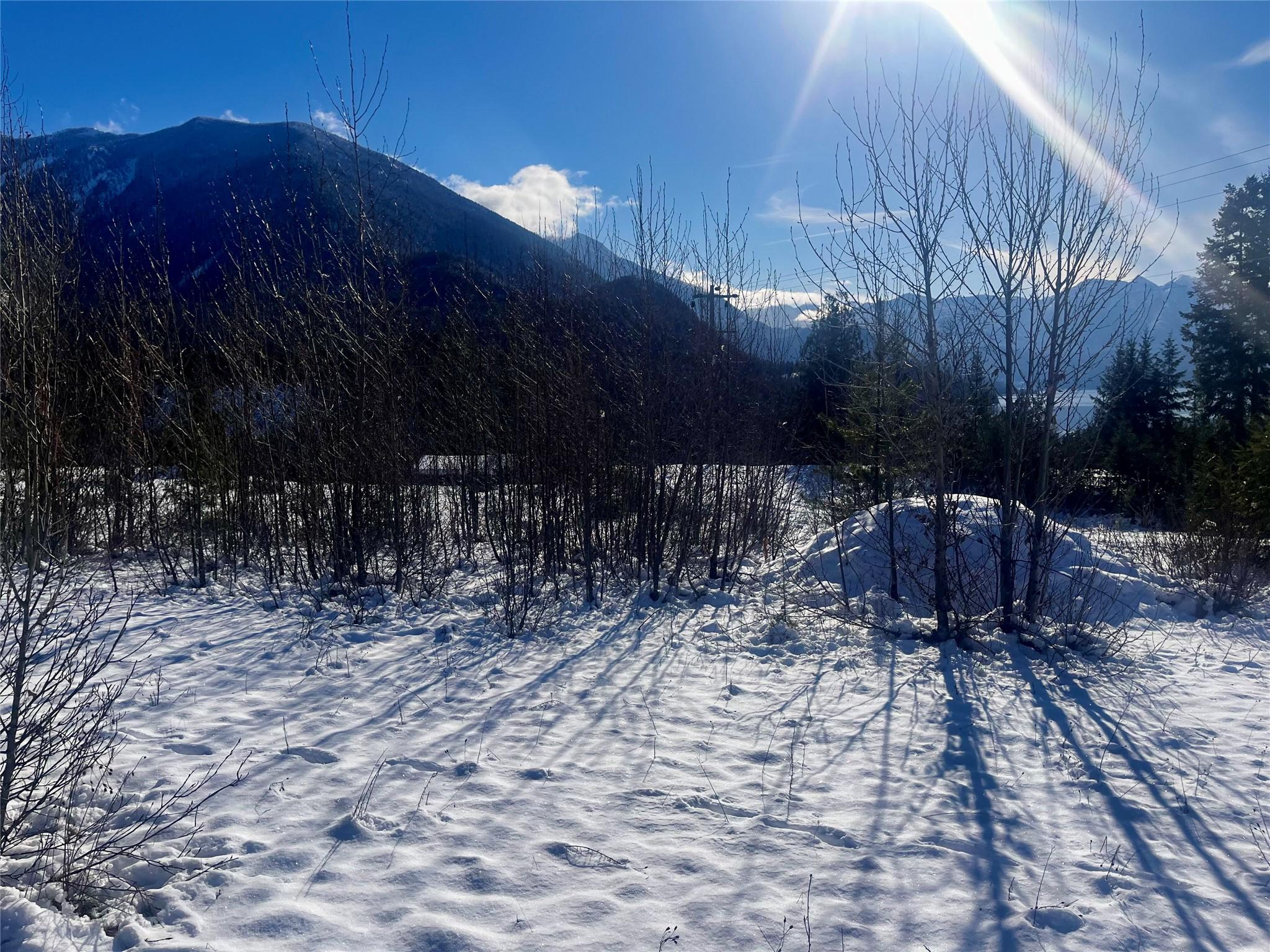 247 Fullmoon Road, Rosebery, BC - Outdoor With View