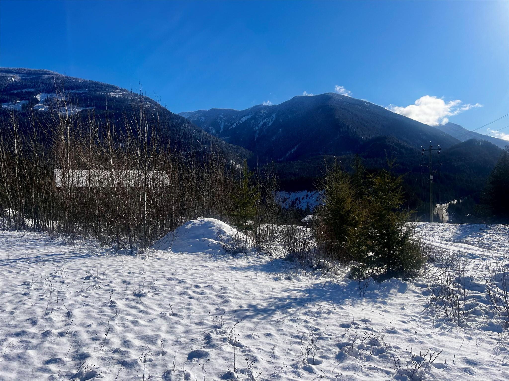 247 Fullmoon Road, Rosebery, BC - Outdoor With View