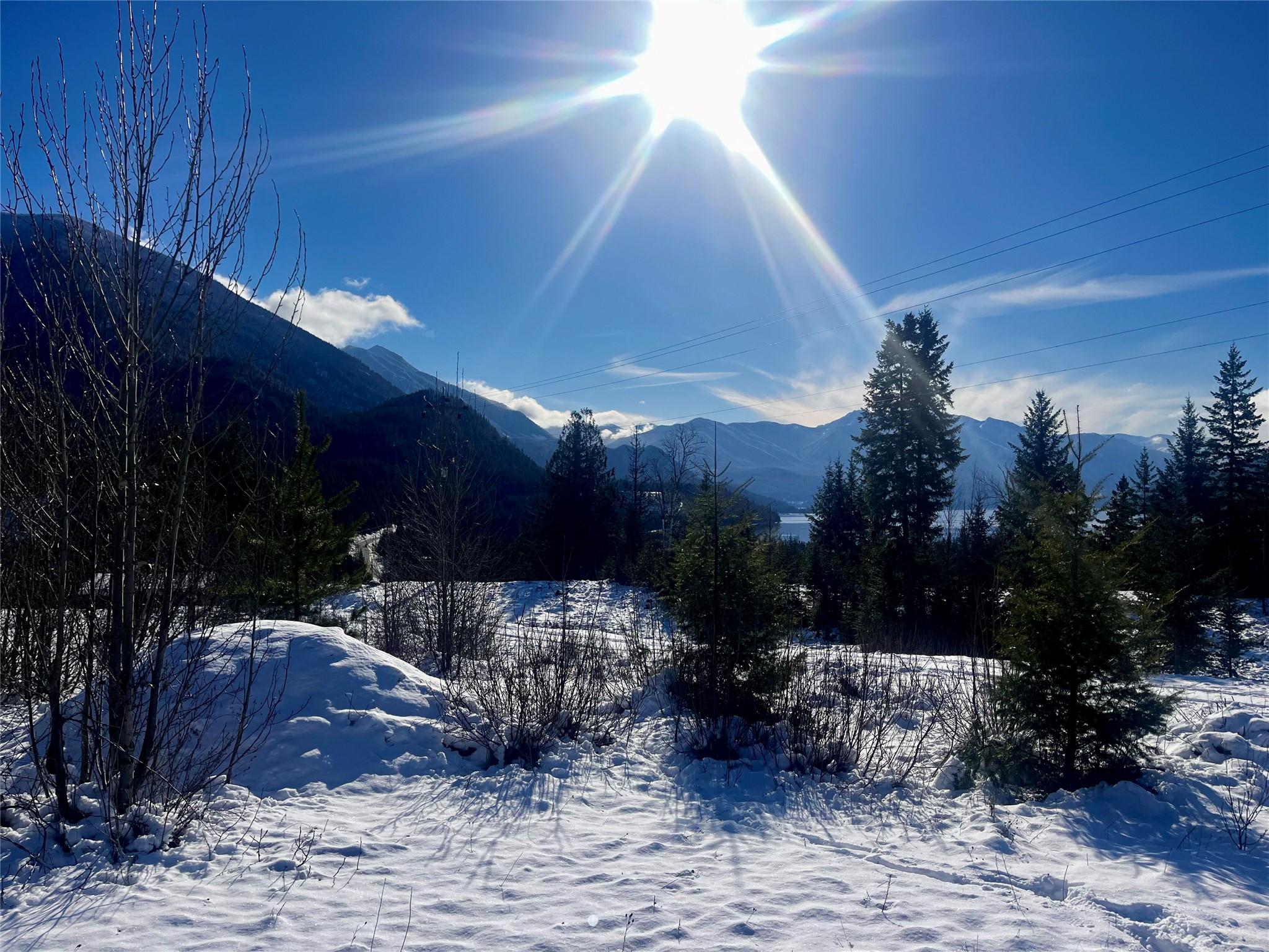 247 Fullmoon Road, Rosebery, BC - Outdoor With View