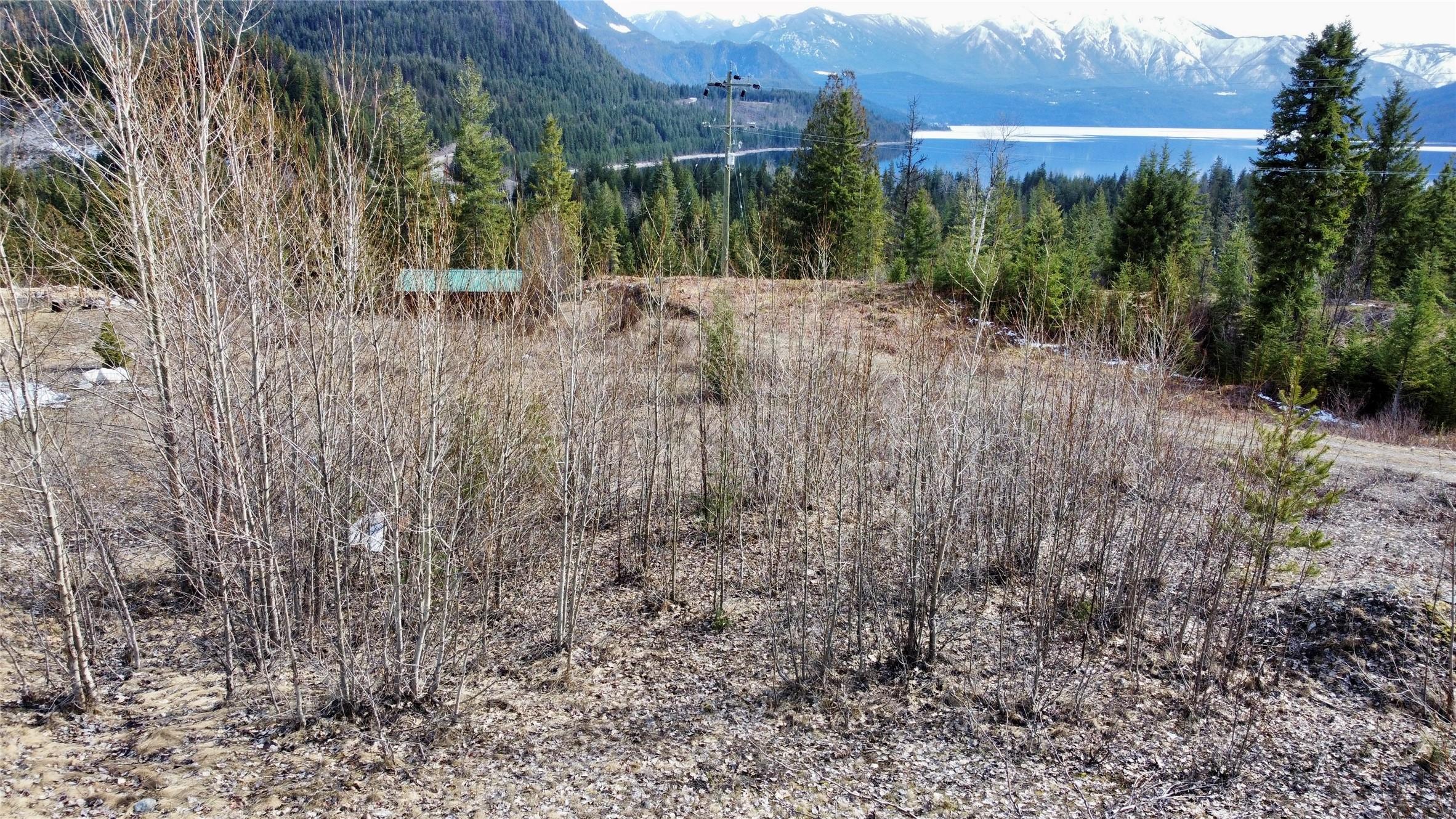 247 Fullmoon Road, Rosebery, BC - Outdoor With View