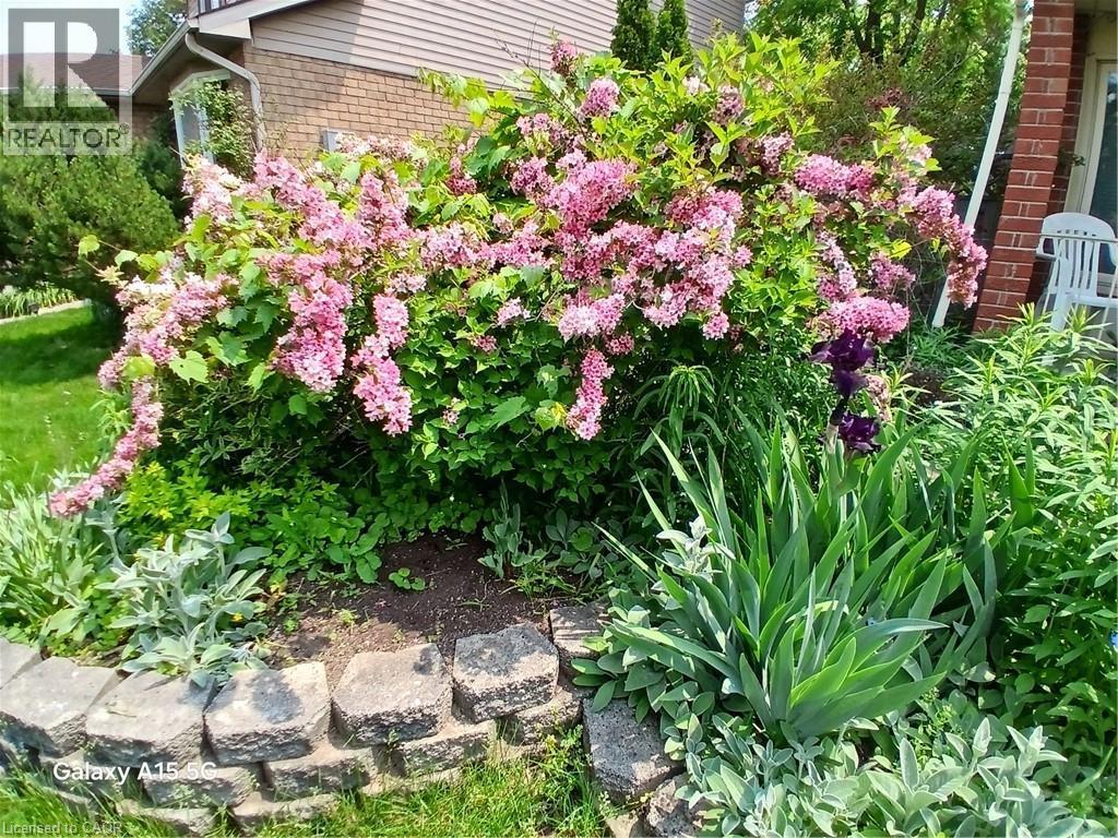 2427 Headon Forest Drive, Burlington, ON - Outdoor