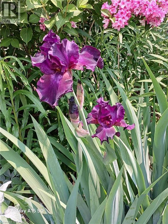 2427 Headon Forest Drive, Burlington, ON -