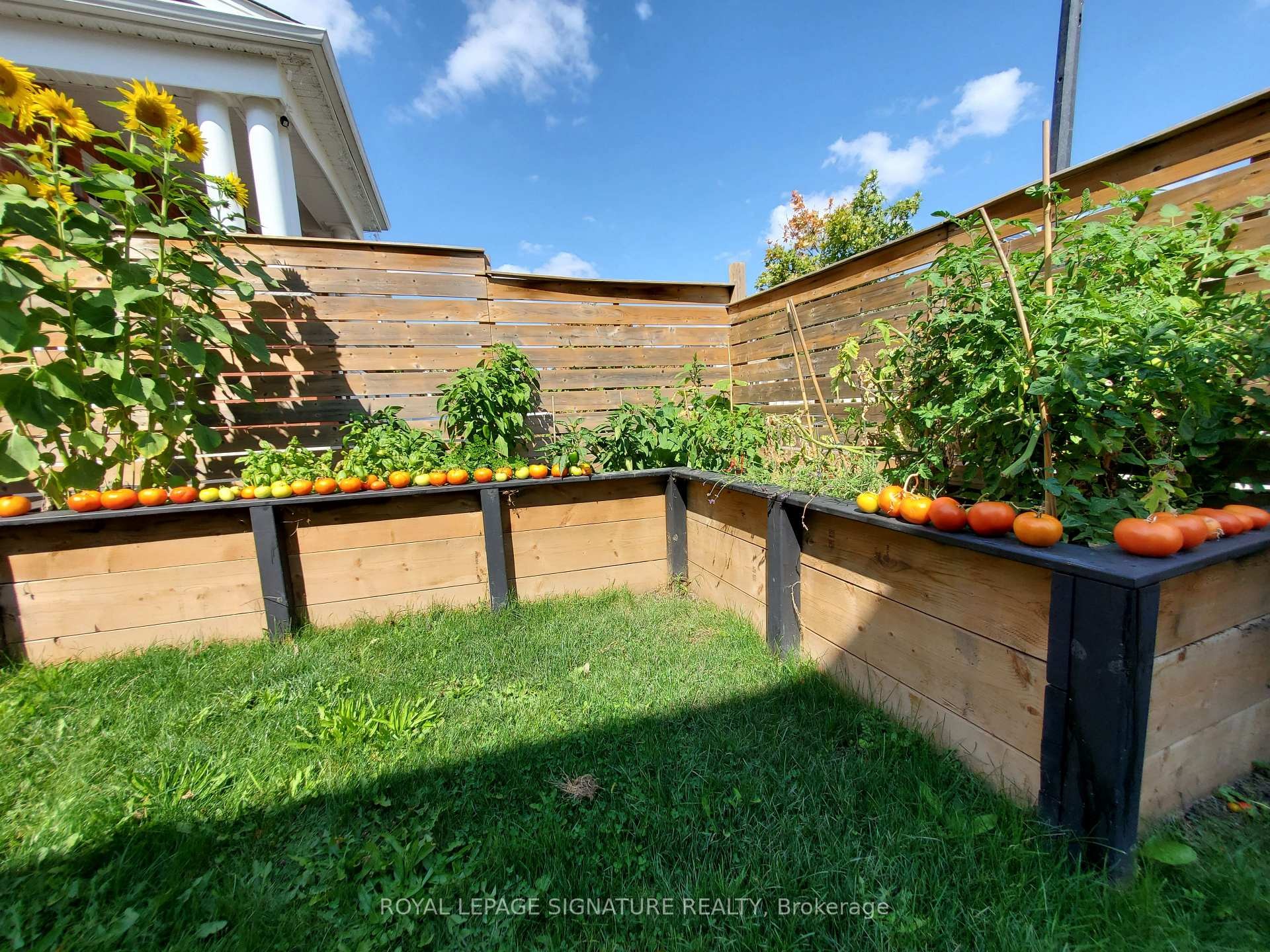 373 Falling Green Crescent, Kitchener, ON - Outdoor