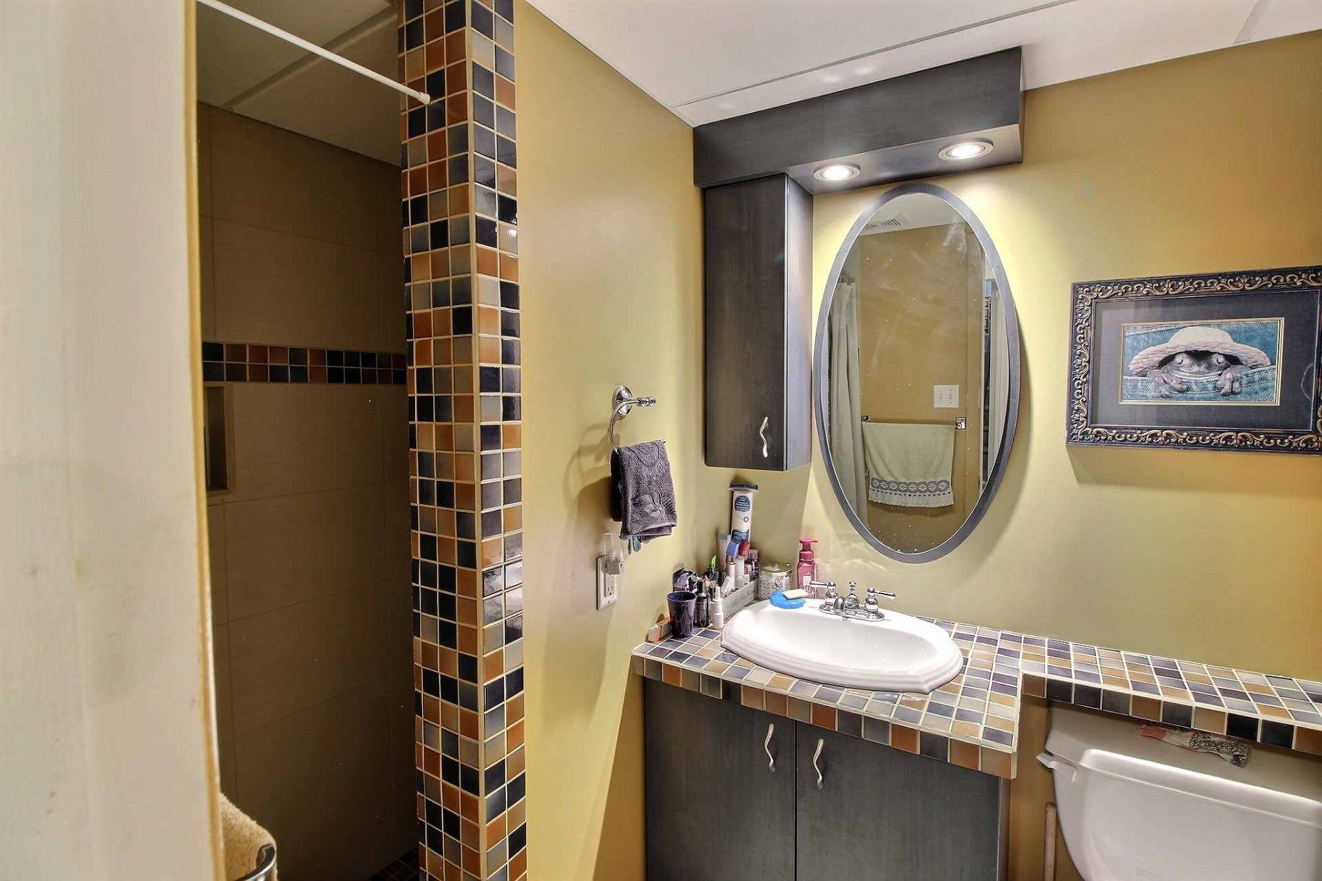Salle de bains - 38 Av. Renaud, Rouyn-Noranda, QC - Indoor Photo Showing Bathroom