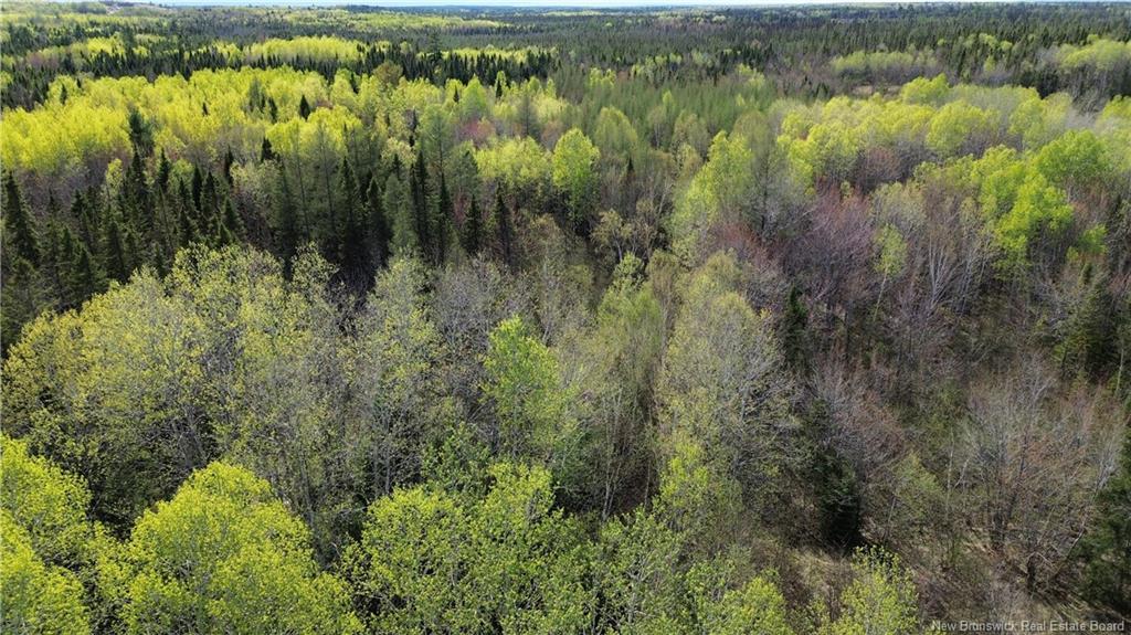 Na Route 430, Big River, NB