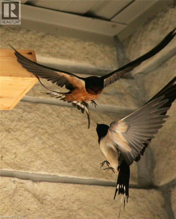 130 Coopershawk Street, Kitchener, ON - Photo Showing Other Room