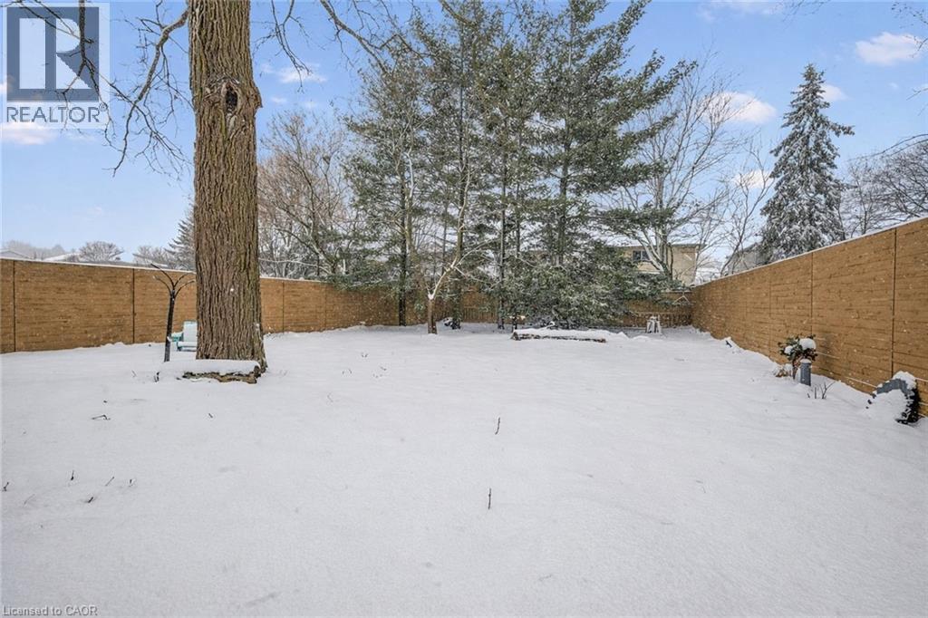 Back Yard - 149 Woolwich Street, Waterloo, ON - Outdoor