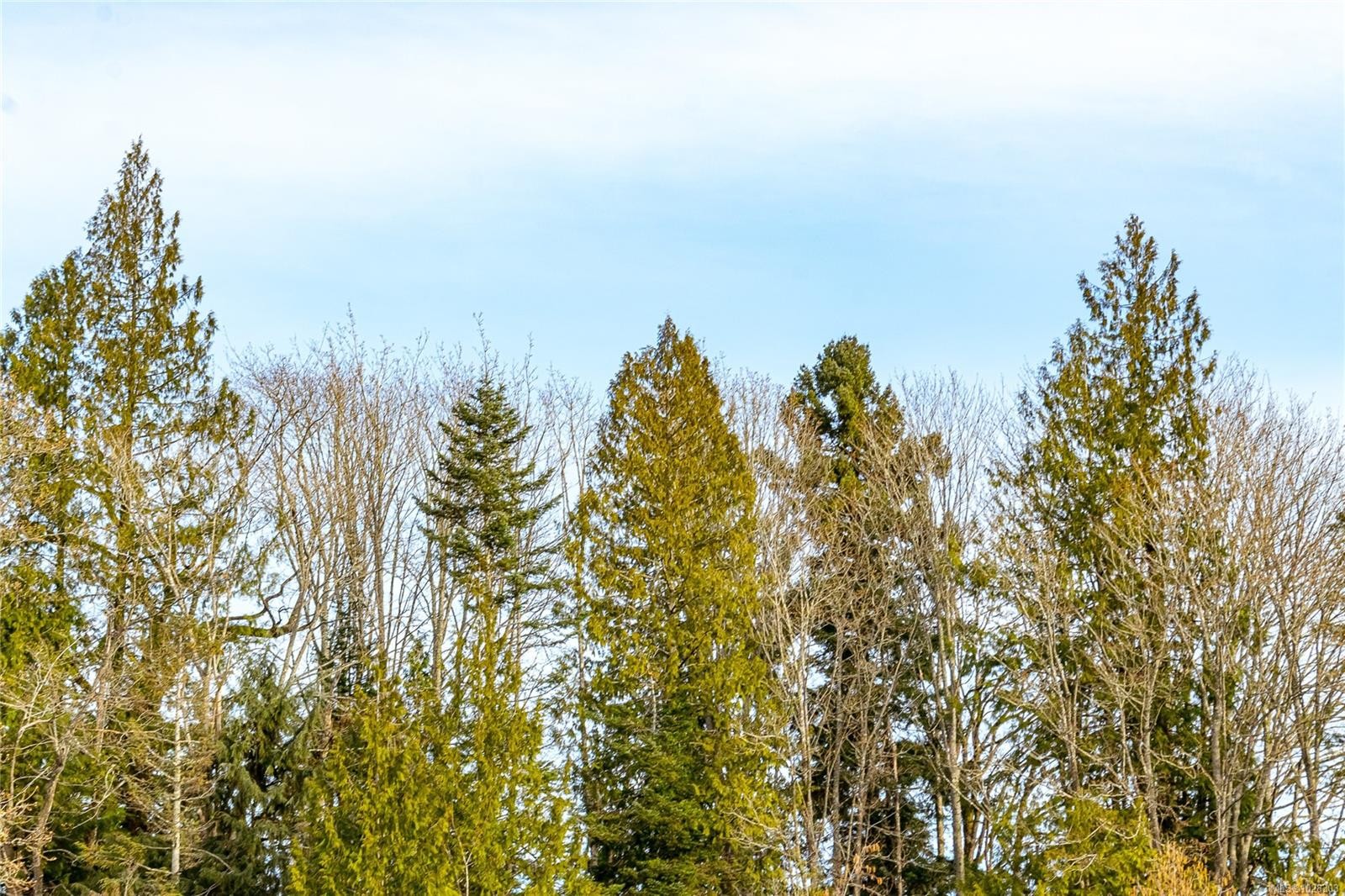 2877 Cecelia St, Chemainus, BC