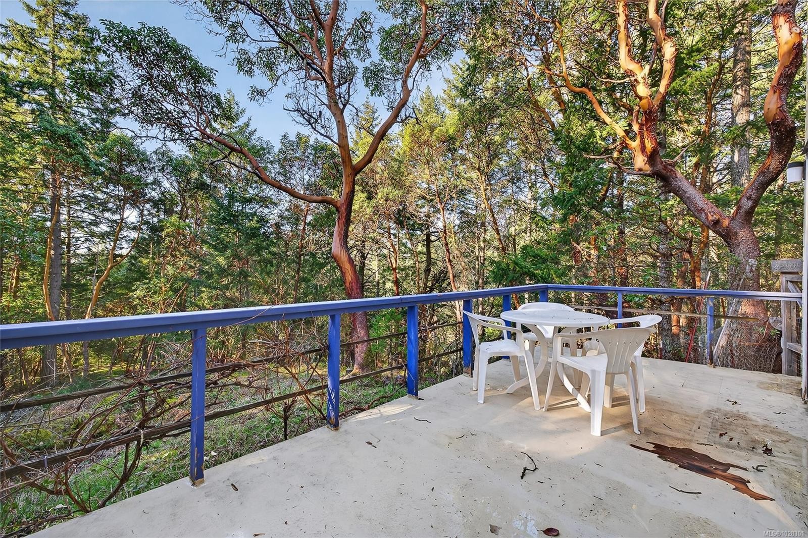 160 Sky Valley Rd, Salt Spring, BC
