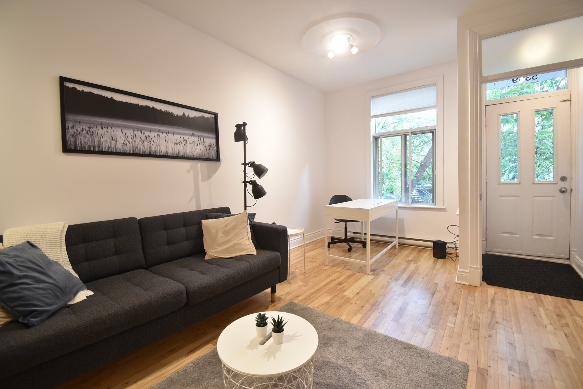 Salon - 5309 Rue Marquette, Montréal (Le Plateau-Mont-Royal), QC - Indoor Photo Showing Living Room