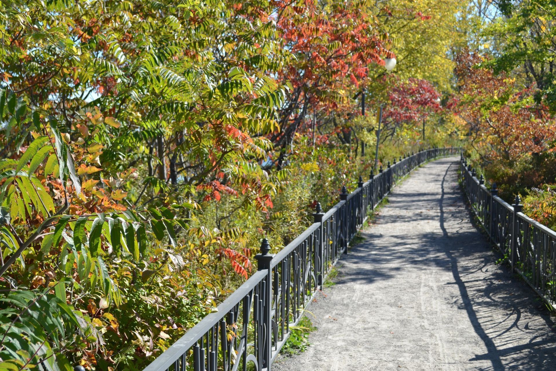 Other - 8392 Rue Centrale, Montréal (Lasalle), QC - Outdoor With Balcony