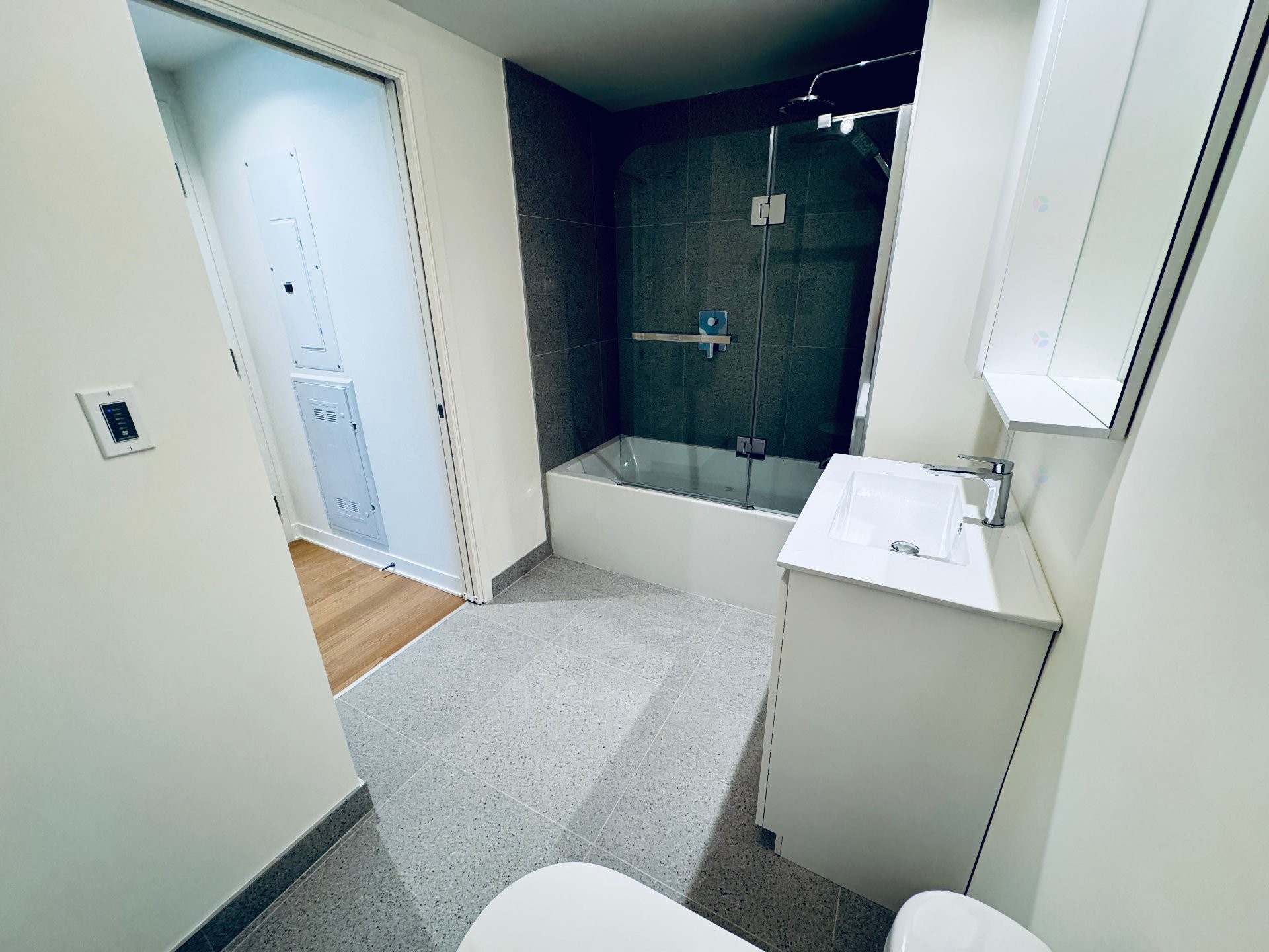 Salle de bains - 810-360 Rue Mayor, Montréal (Ville-Marie), QC - Indoor Photo Showing Bathroom