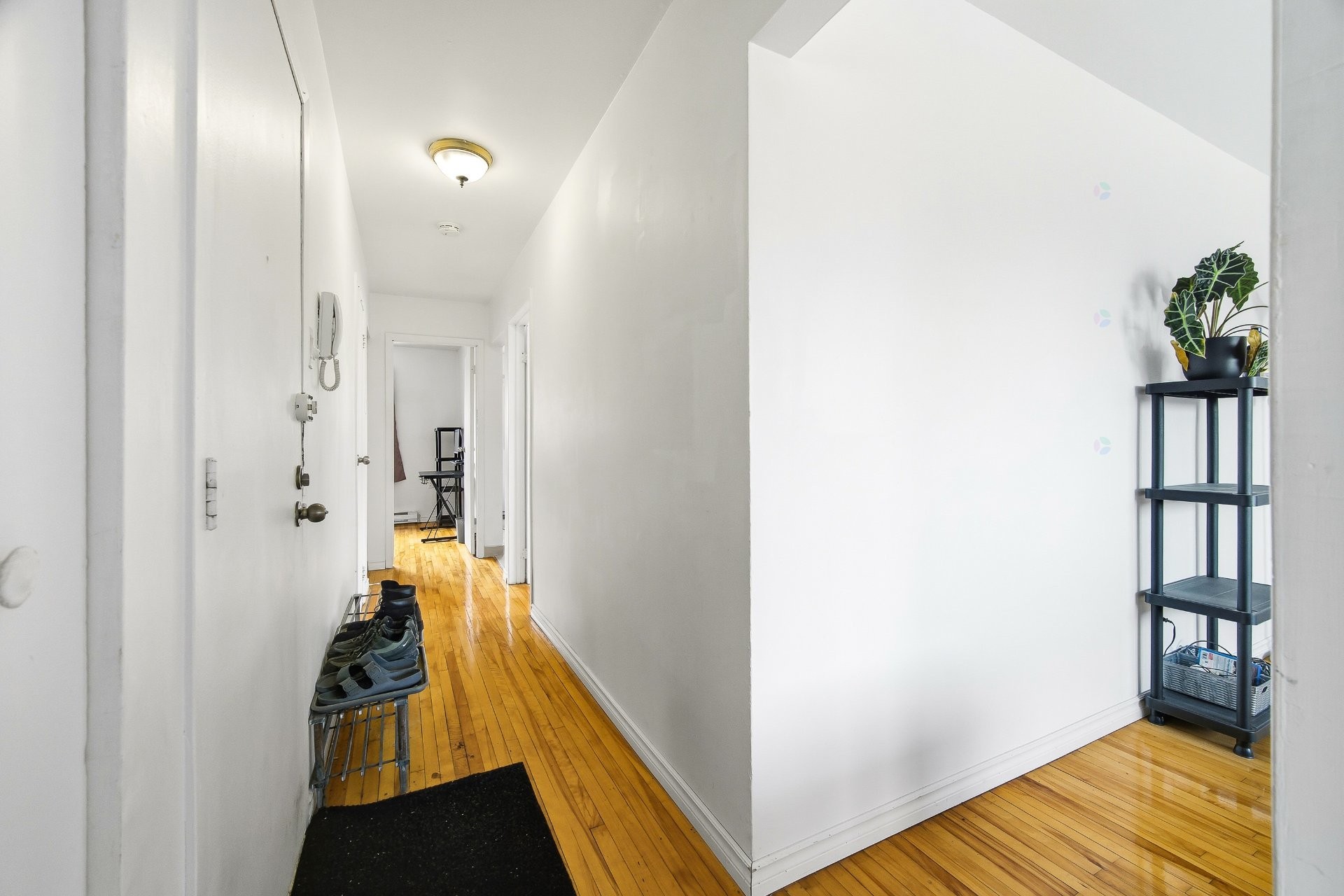 Passageway - 2-3445 Rue Hochelaga, Montréal (Mercier/Hochelaga-Maisonneuve), QC - Indoor Photo Showing Other Room