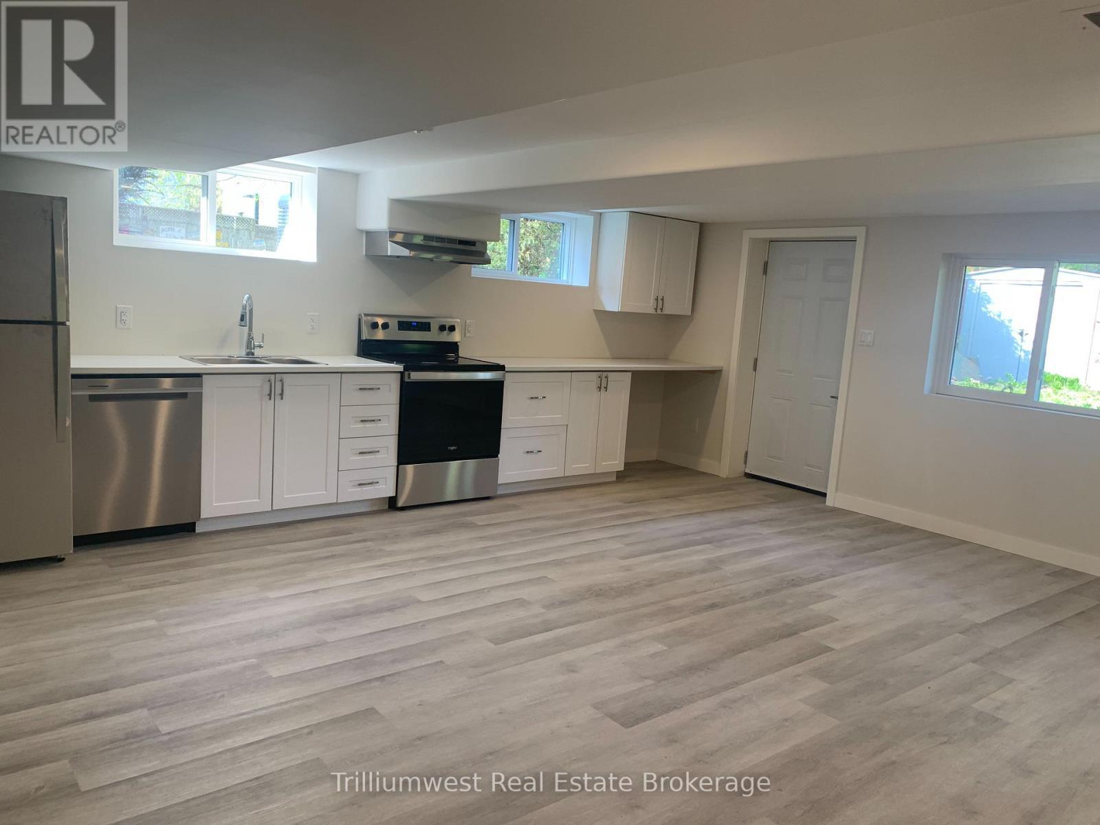 Unit C Kitchen Living area - 54 Park Street, Kitchener, ON - Indoor Photo Showing Kitchen