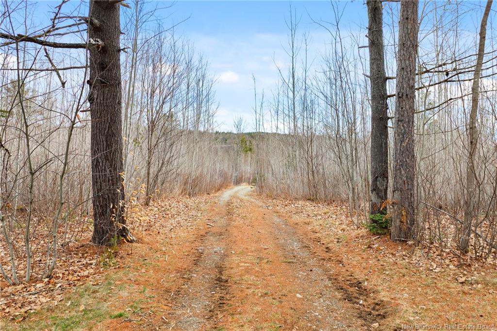 1832 Route 105, Southampton, NB