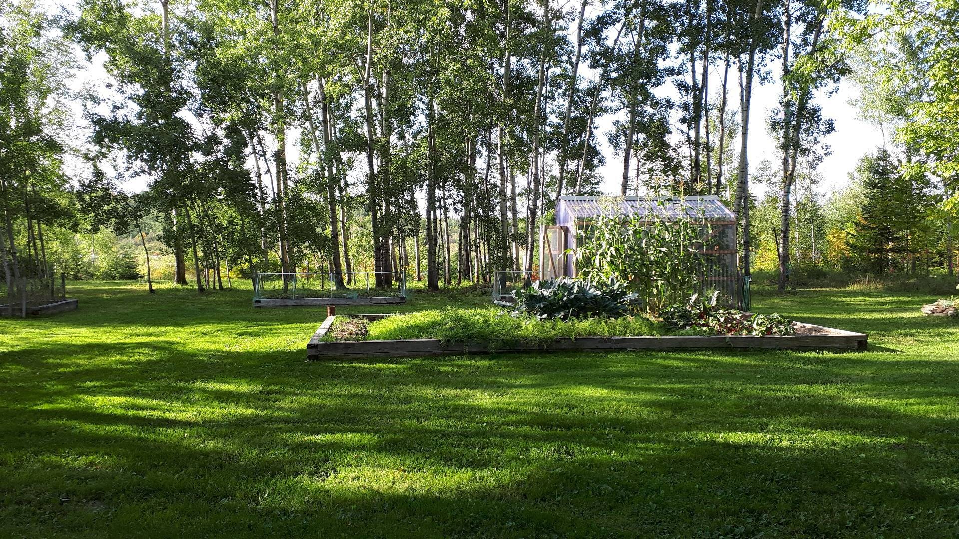 Courtyard - 3101 Ch. Plourde, Rouyn-Noranda, QC - Outdoor