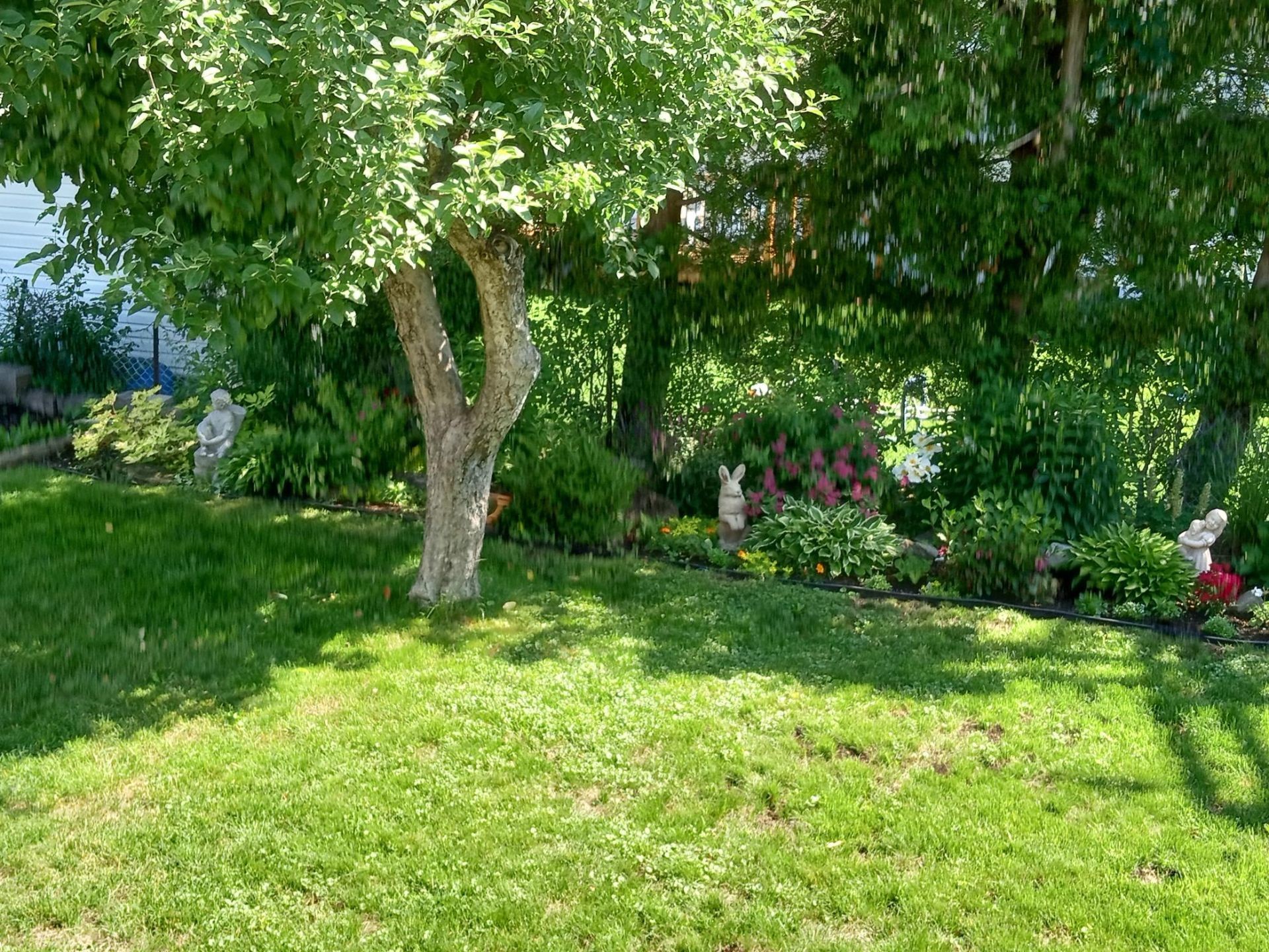 Courtyard - 759 Av. Devonshire, Laval (Chomedey), QC - Outdoor