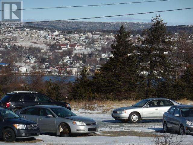 56 Columbus Drive, Carbonear, NL