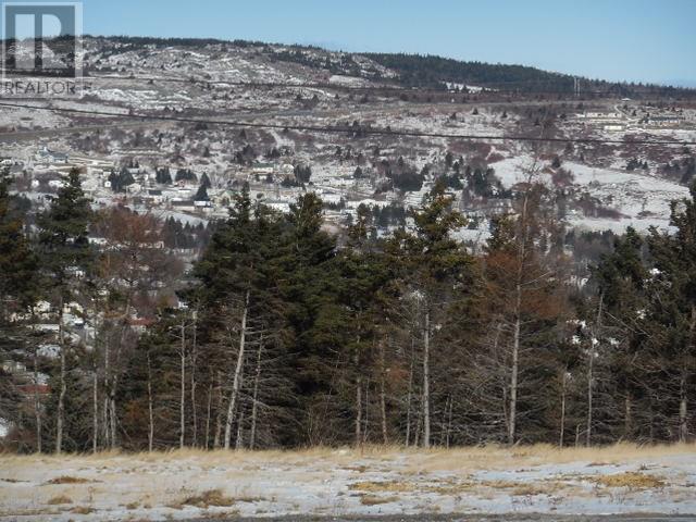 56 Columbus Drive, Carbonear, NL