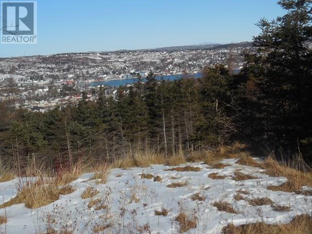 56 Columbus Drive, Carbonear, NL