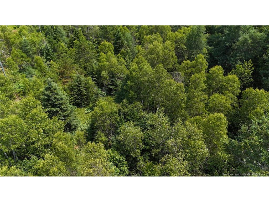 - Route 780, Utopia, NB