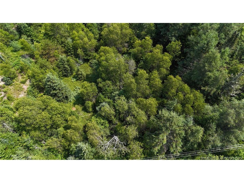 - Route 780, Utopia, NB
