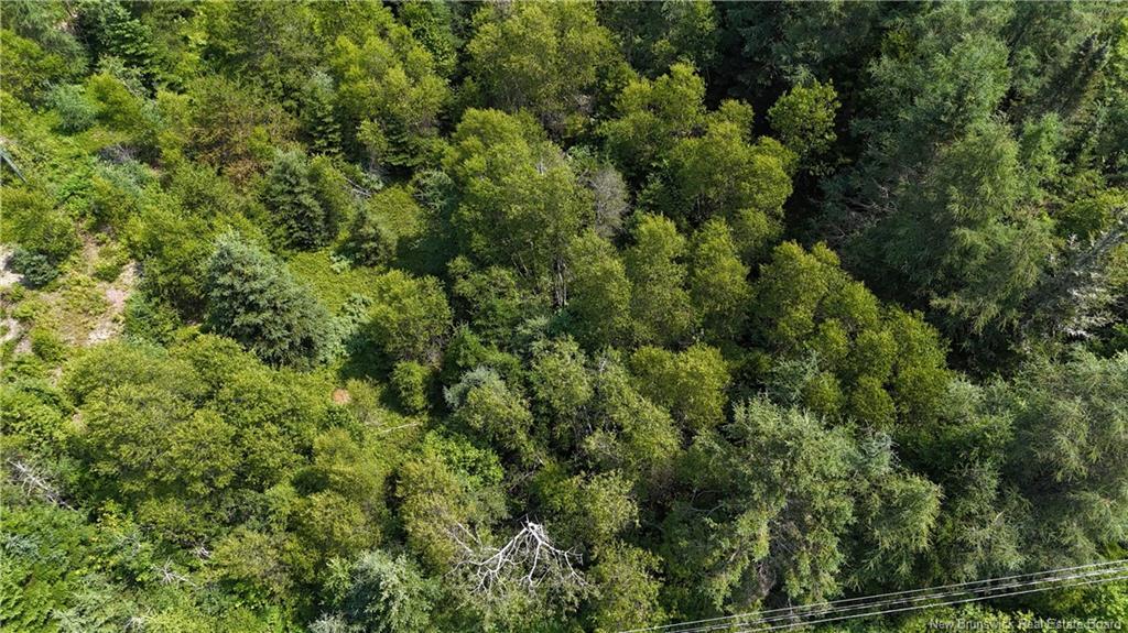 - Route 780, Utopia, NB