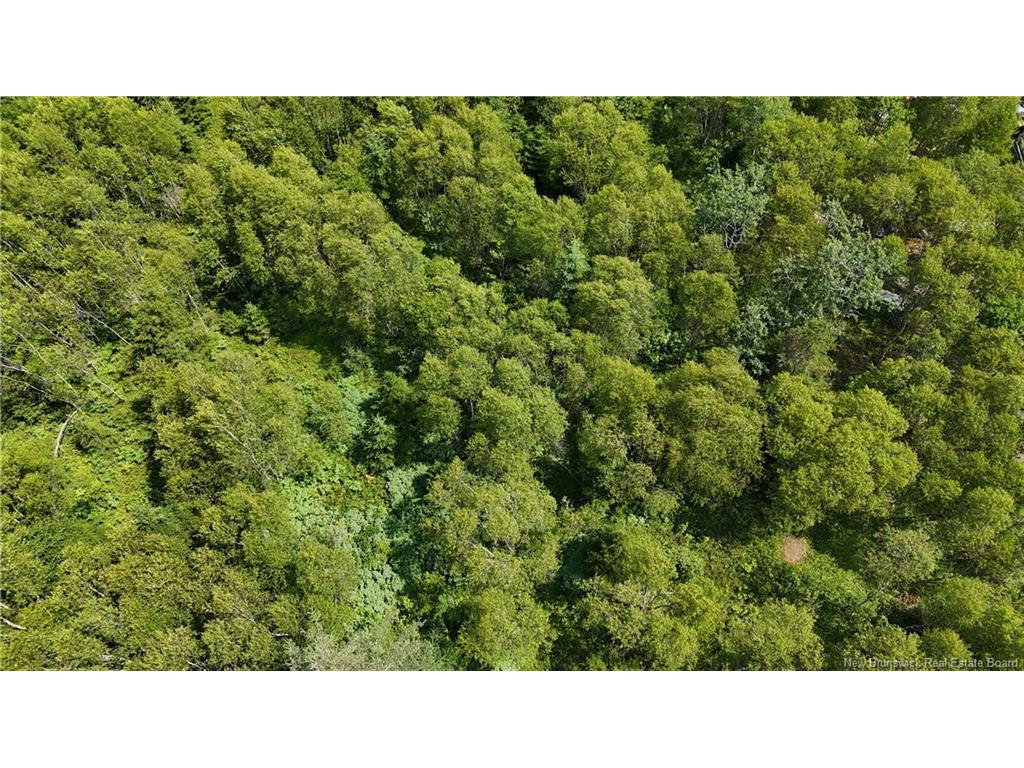 - Route 780, Utopia, NB