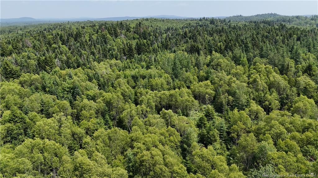 - Route 780, Utopia, NB