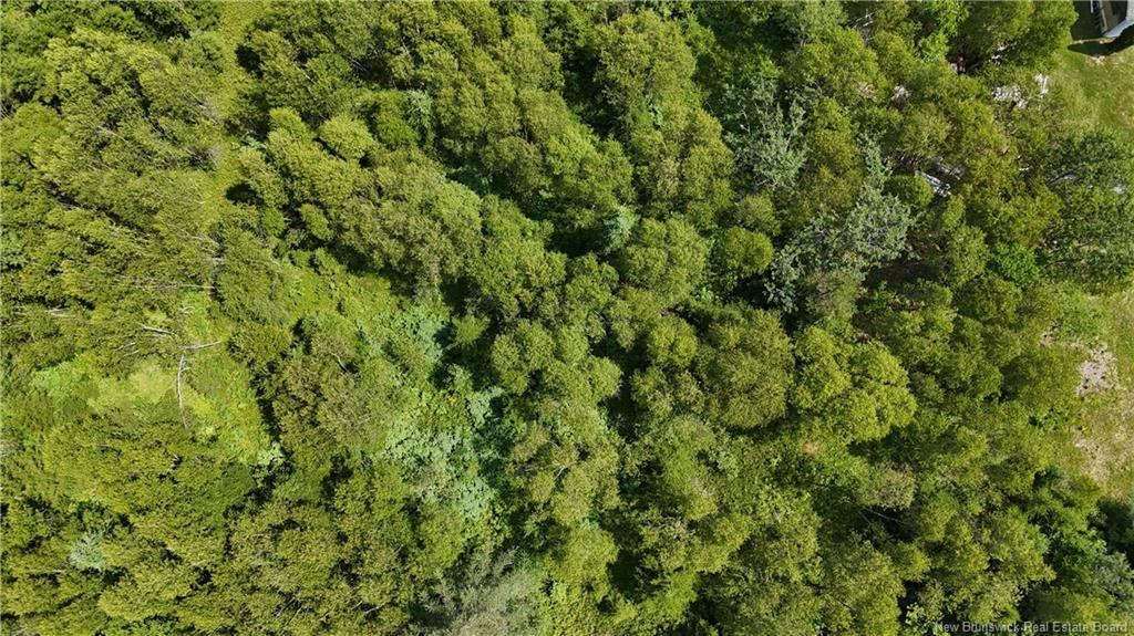 - Route 780, Utopia, NB