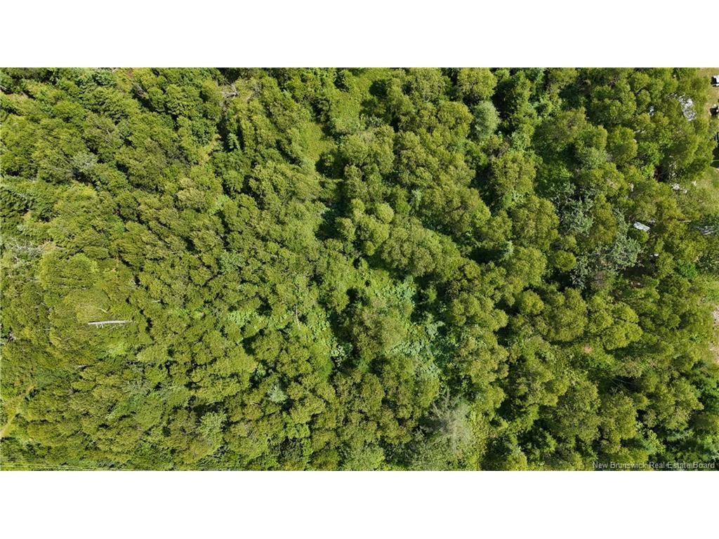 - Route 780, Utopia, NB