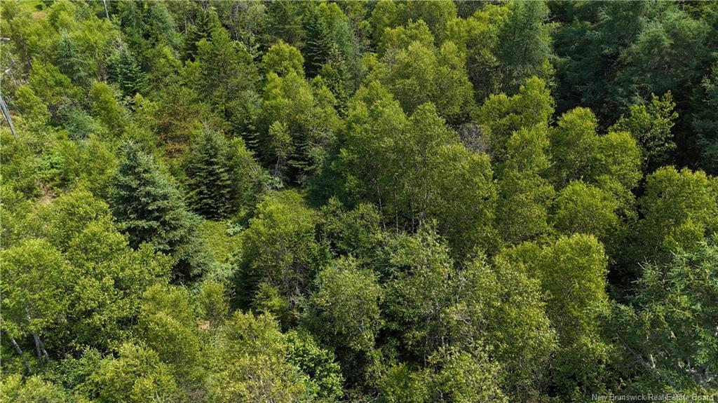 - Route 780, Utopia, NB