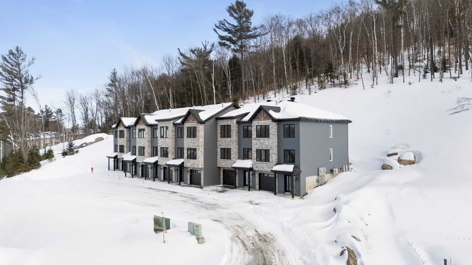 Vue d'ensemble - 703Z Ch. Des Conifères, Piedmont, QC - Outdoor