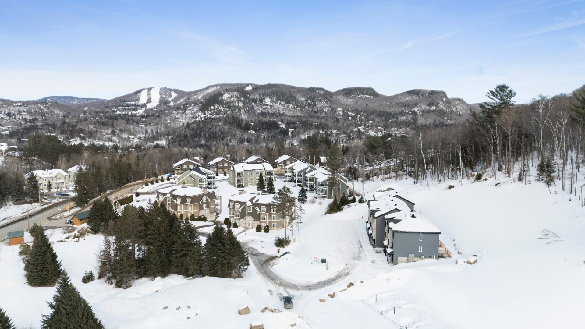 Vue d'ensemble - 703Z Ch. Des Conifères, Piedmont, QC - Outdoor With View