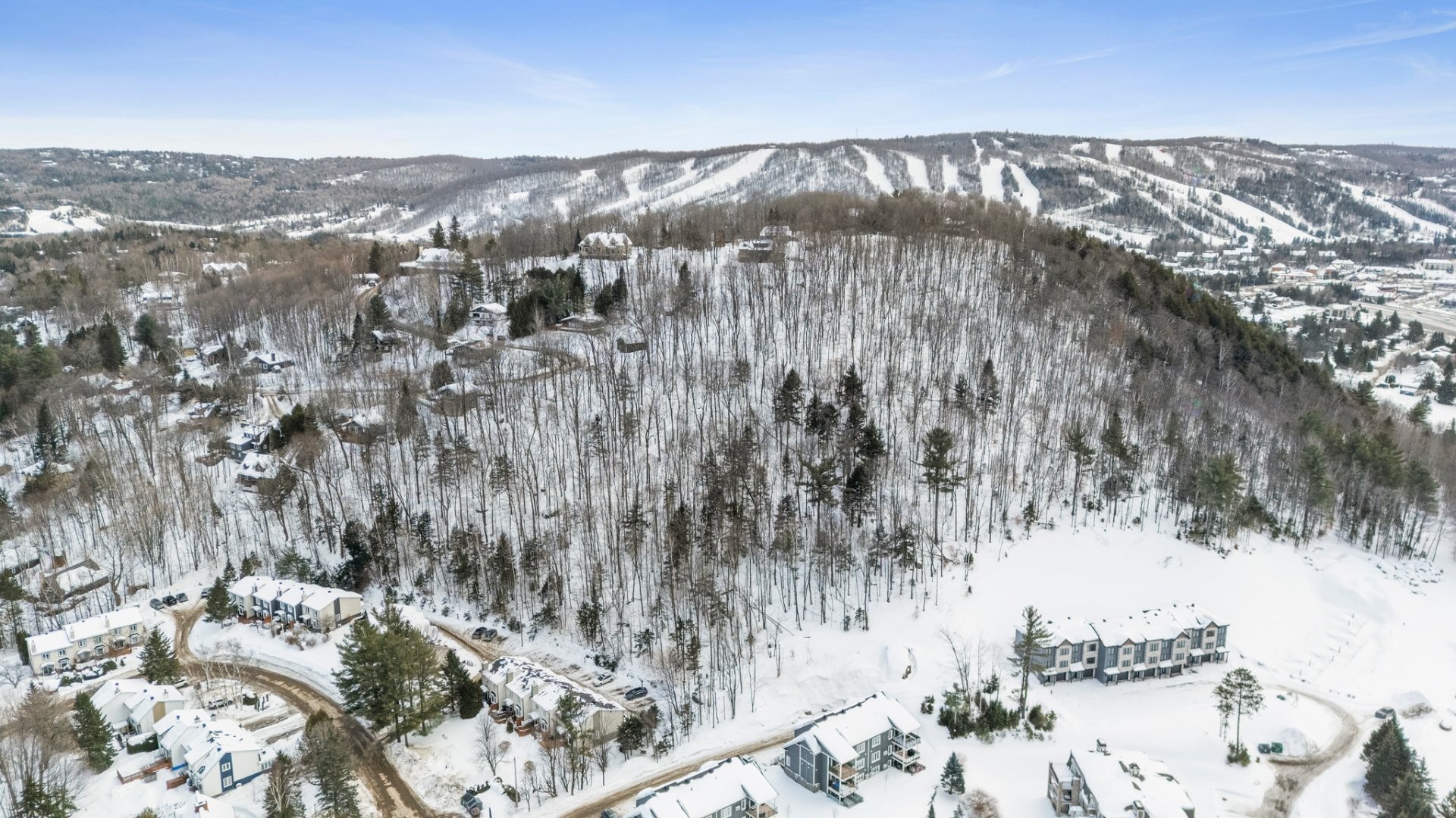 Vue d'ensemble - 703Z Ch. Des Conifères, Piedmont, QC - Outdoor With View