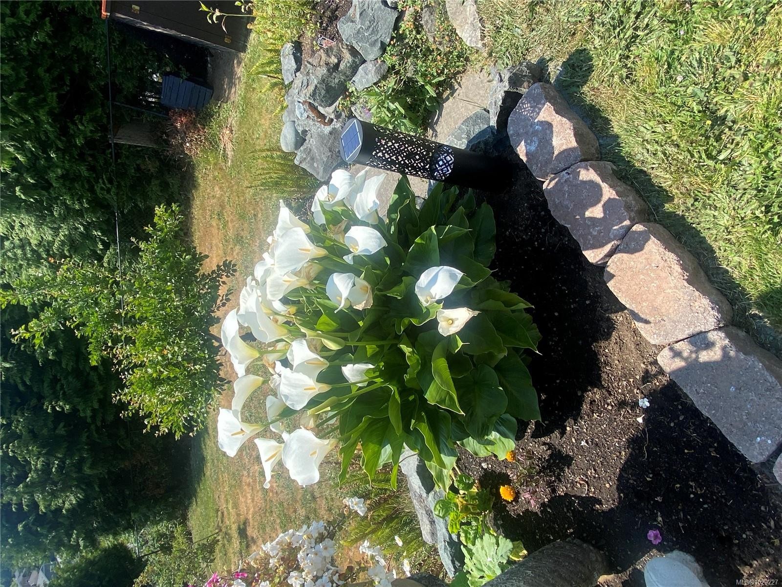 6483 Cedarview Pl, Sooke, BC