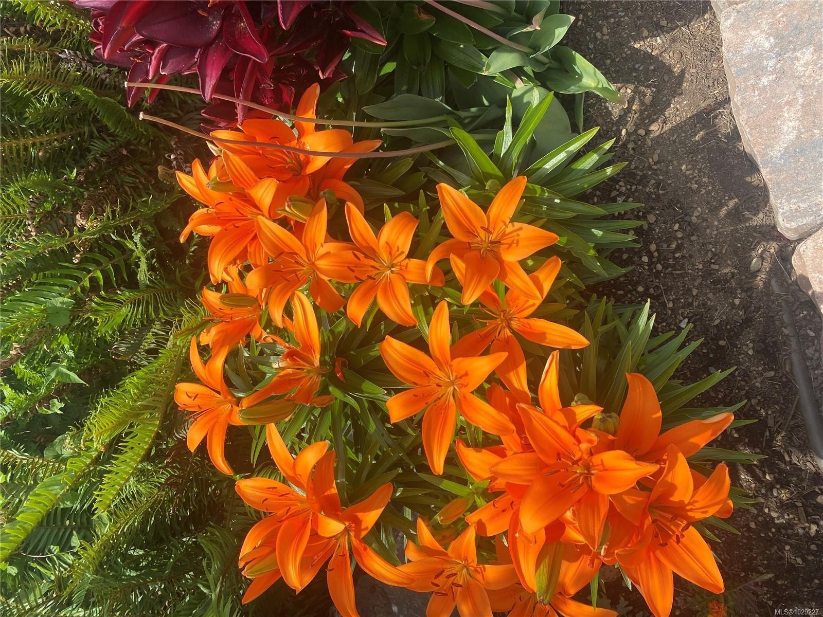 6483 Cedarview Pl, Sooke, BC