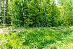 Vacant Lot -
