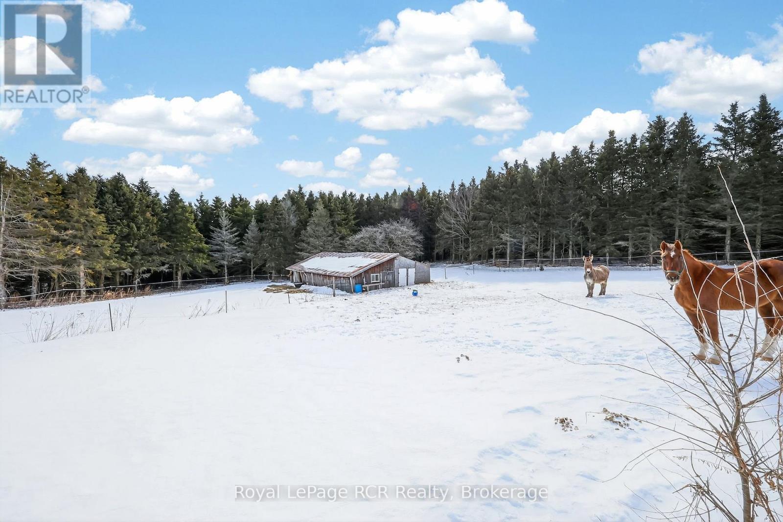 2553 County Road 42, Clearview, ON - Outdoor With View