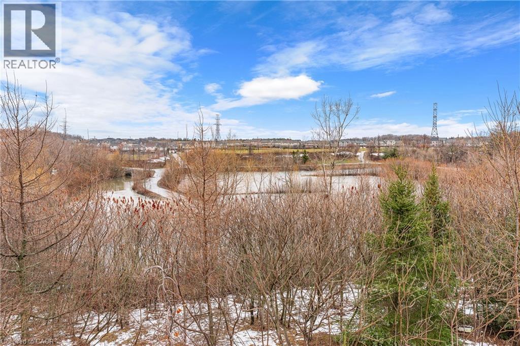 67 Maitland Street, Kitchener, ON - Outdoor With View