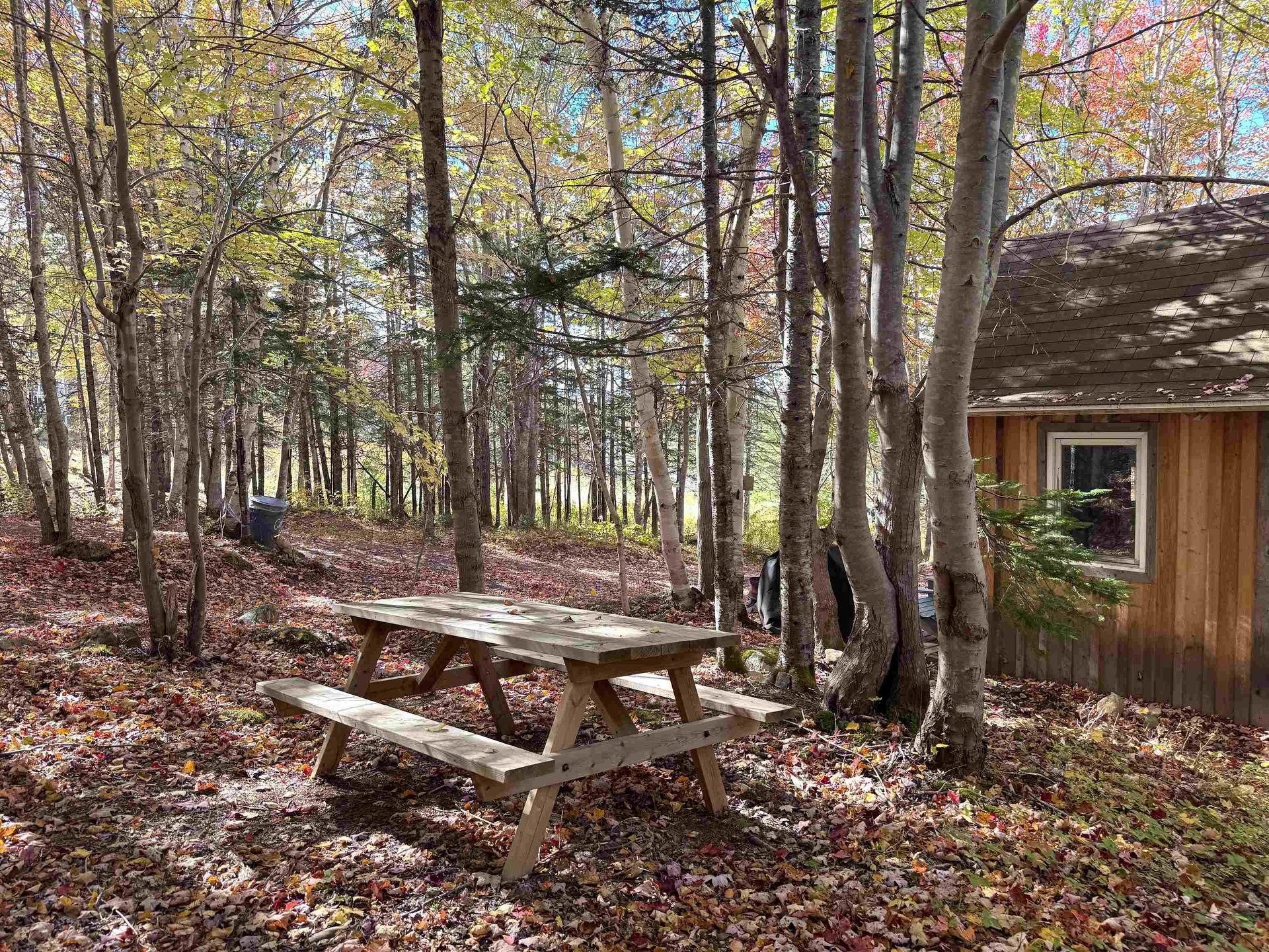 47403 Cabot Trail, Tarbotvale, NS