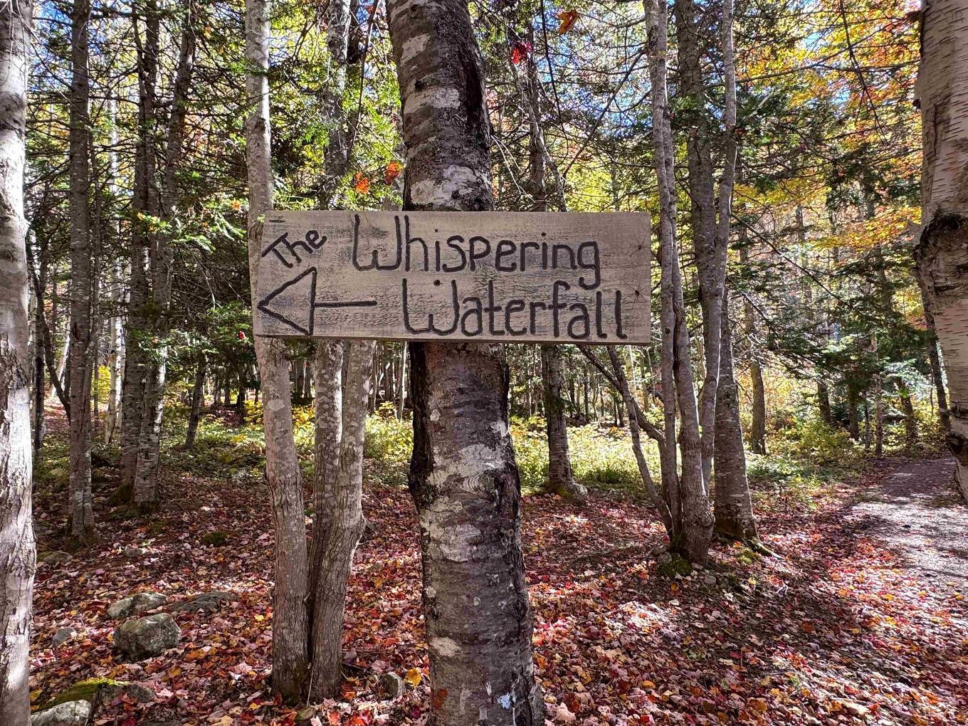 47403 Cabot Trail, Tarbotvale, NS